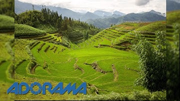 The Perfect Travel Lens: Exploring Photography with Mark Wallace