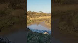 Creek Tide Timelapse #Essex #landscape #timelapses #timelapse #tides #seaside