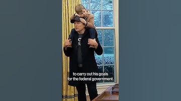 The Musk Associates Running the Government