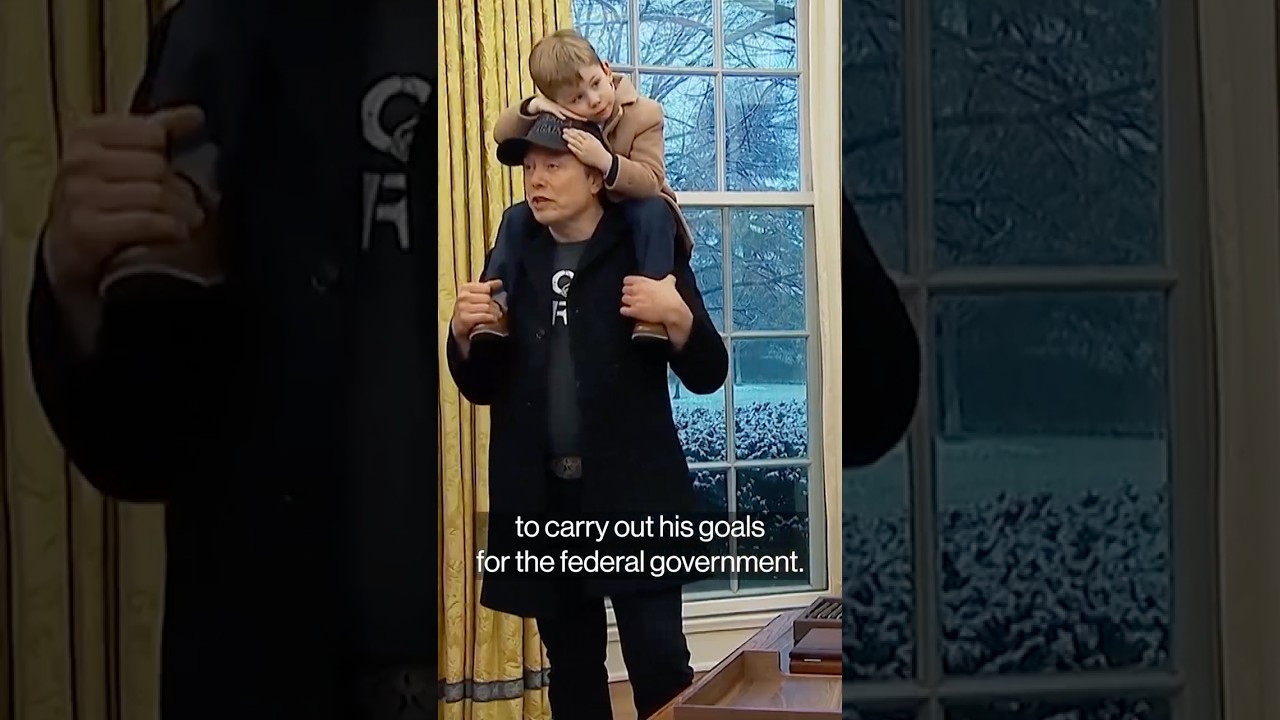 The Musk Associates Running the Government