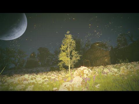 Relaxing Music Elden Ring DLC Shaman Village 巫子の村 1 Hour Ambient BGM