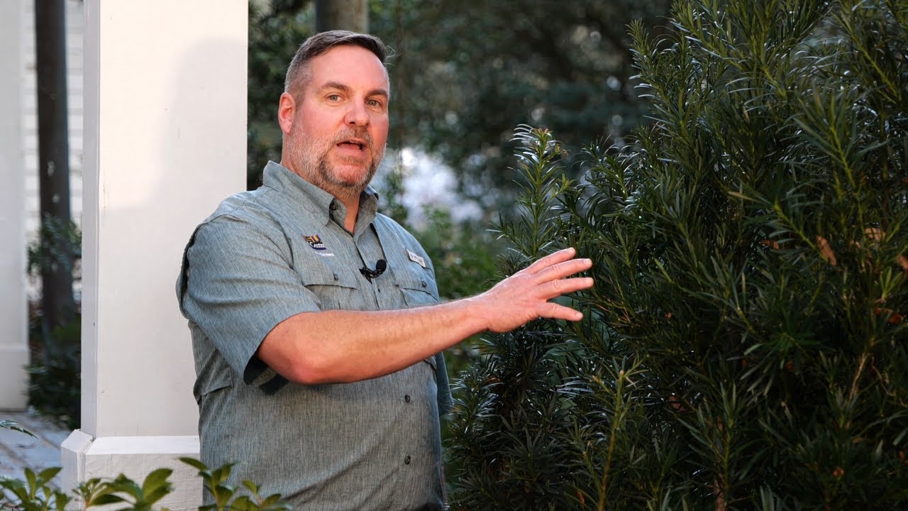 Get It Growing: How to start a low-maintenance landscape