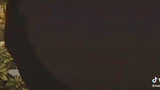 Story WA battle of surabaya