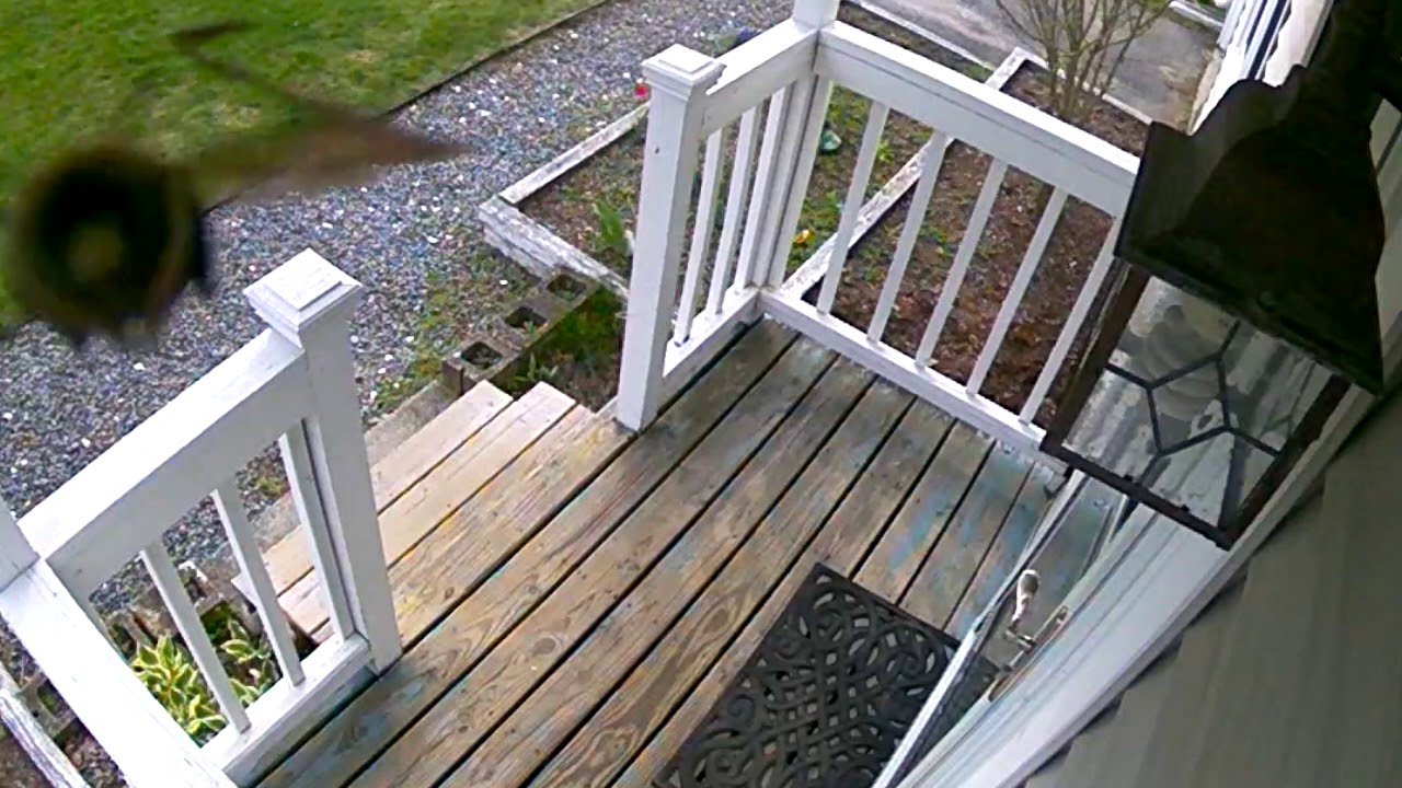 Wasp Happening? - YouTube