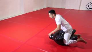 Combat X Trainer | 2.13 Mount Position