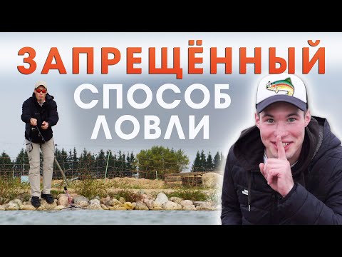 Видео: Как ловить форель (с иллюстрациями)