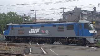 【桃原色単機！】JR貨物 EF210-143号機 新A230仕業[単1291レ] 根岸行 小田第三踏切通過！[2024.04.22(月)]