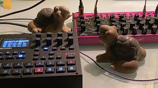 DAWless jam #26: Swamps and Turts