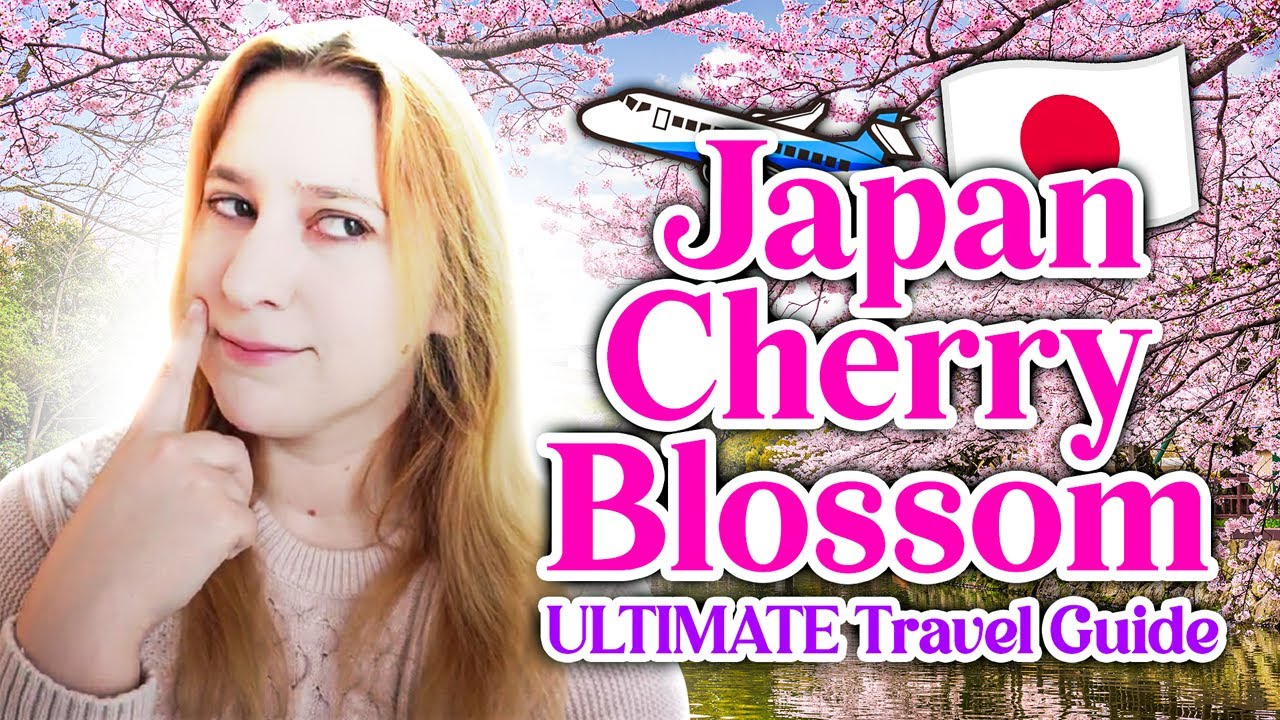 How to See Cherry Blossoms in Japan 🌸 | MUST-KNOW Tips, Advice from a ...