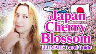 How to See Cherry Blossoms in Japan  |  MUSTKNOW Tips, Advice from a Local