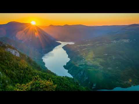Sub Focus -