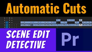 Scene Edit Detective tool   Automatic cuts in premier pro - Save Time - Fast Editing Net Worth