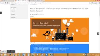 How To Insert A Bindtuning Slider In Orchard