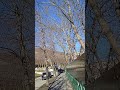 #shotrs Отель с видом на горы.