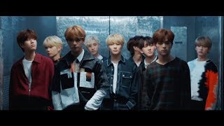 the yellow wood teaser but stray kids are in the elevator for an uncomfortably long time