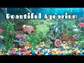 Beautiful Aquarium | Relaxing Video | Aquarium Video | Widow Tetra Fish Tank 