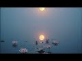 Musique Relaxante au Piano – Calme, Sérénité Relaxing Music –Calm & Meditative for Sleep & Focus