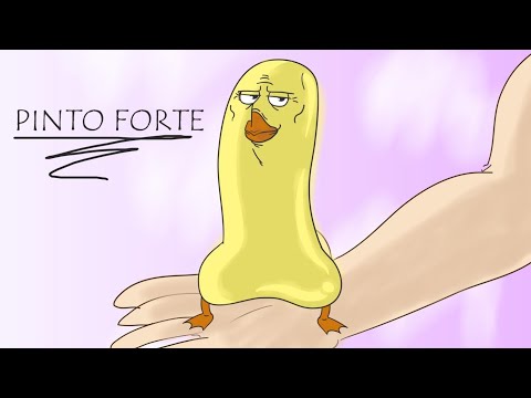 A LEGEND CALLED PINTO - ANIMATION - Sir Wise