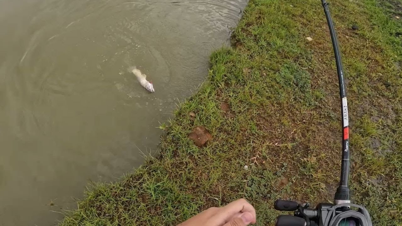 PEGAMOS MUITO PEIXE NA ARTIFICIL NO VALE DOS GIGANTES