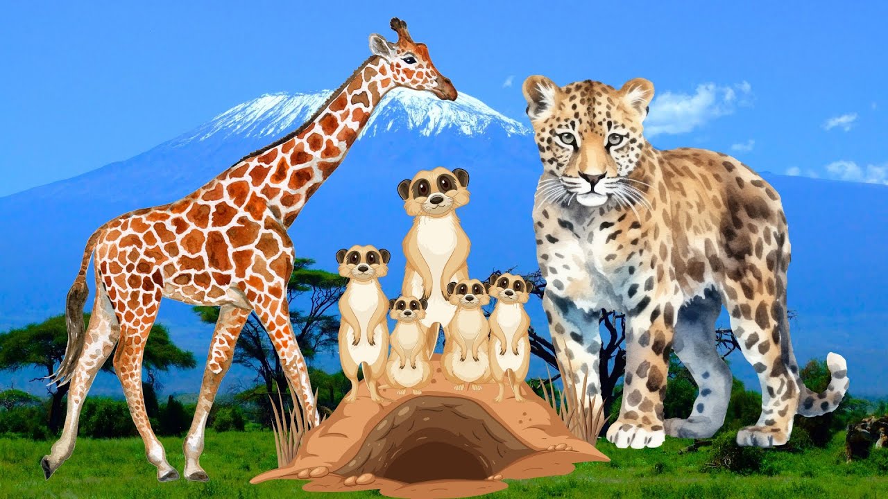 Wild Animal Noises in Africa 🦓🎶 Cheetah, Giraffe, Wild Dog, Meerkat