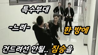 하필이면 대한민국 현직 특수부대 요원의 동생을 겁도 없이 건드려버린 범죄 조직의 최후ㄷㄷ