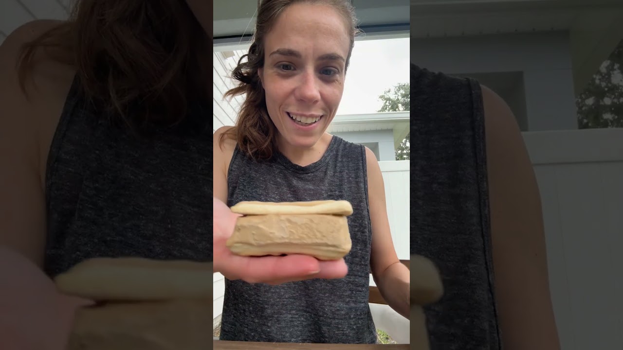 Brown Sugar Pop Tart Ice Cream Sandwich Taste Test! 