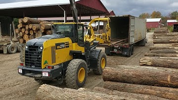 Pushing hardwood logs into shipping container for export