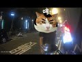 逼車實錄(有檢舉結果)
