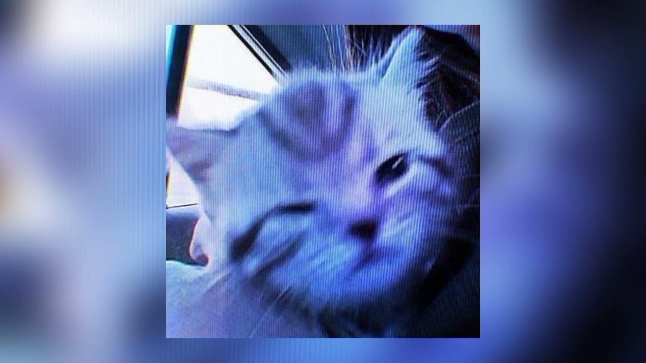 Pop like this-(speed up)