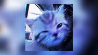 Pop like this-(speed up)