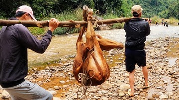 ĂN TẾT TRONG RỪNG • Tập 1
