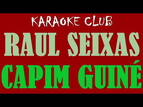 RAUL SEIXAS - CAPIM GUINÉ ( KARAOKÊ )
