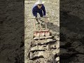 Shovels Tied Together, Plowing as Fast as Flying!