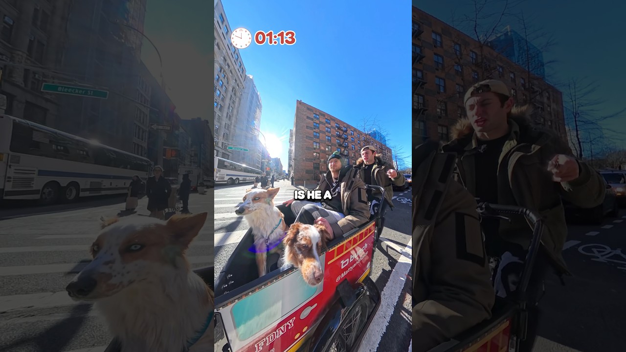 Pet Wagon - Episode 44 - Meet Kent 