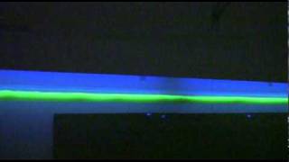 Celebrity Water Hammer Tutorial Net Worth