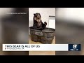 This bear is all of us