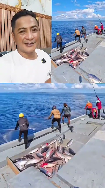 FISHING WITHOUT BAIT #fishinghobby #fishhobby #seafish #fishingmania #shorts #viralfyp #ornamenta...