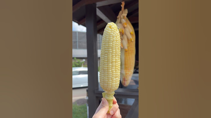 ข้าวโพดต้ม พิกัดฮอกไกโด ฟาร์มTomita #hokkaido#japan#ญี่ปุ่น#กิน#อาหาร#food#streetfood#corn