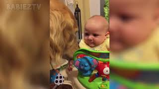 131 Adorable Babies Playing With Dogs and Cats   Funny Babies Compilation 2018