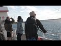 (Ne)emigrantai. Norvegijos saloje svajonę įgyvendinusi Liutkų šeima ir Deivido gyvenimo vingiai