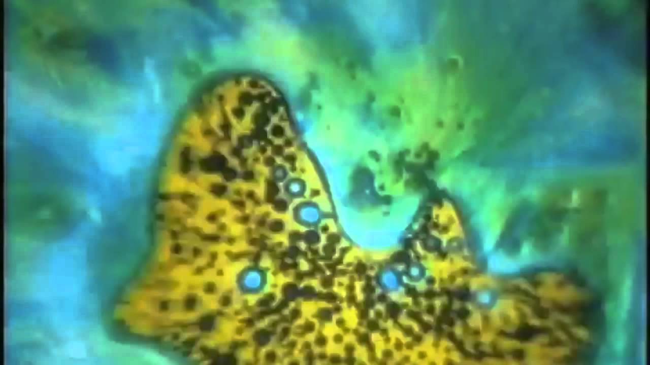 Brainman - Drivhuset