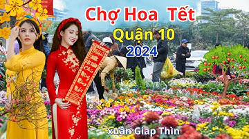 Rực rỡ chợ hoa tết 2024 quận 10 Sài Gòn | Ngon Nhất