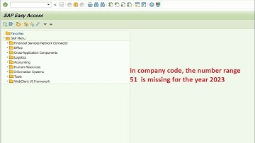 Fix error  In company code, the number range  51  is missing for the year 2023