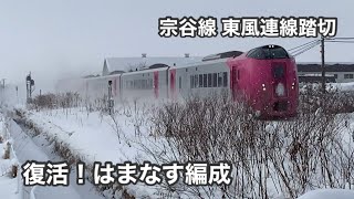 【踏切】はまなす編成復活 JR北海道 東風連線踏切