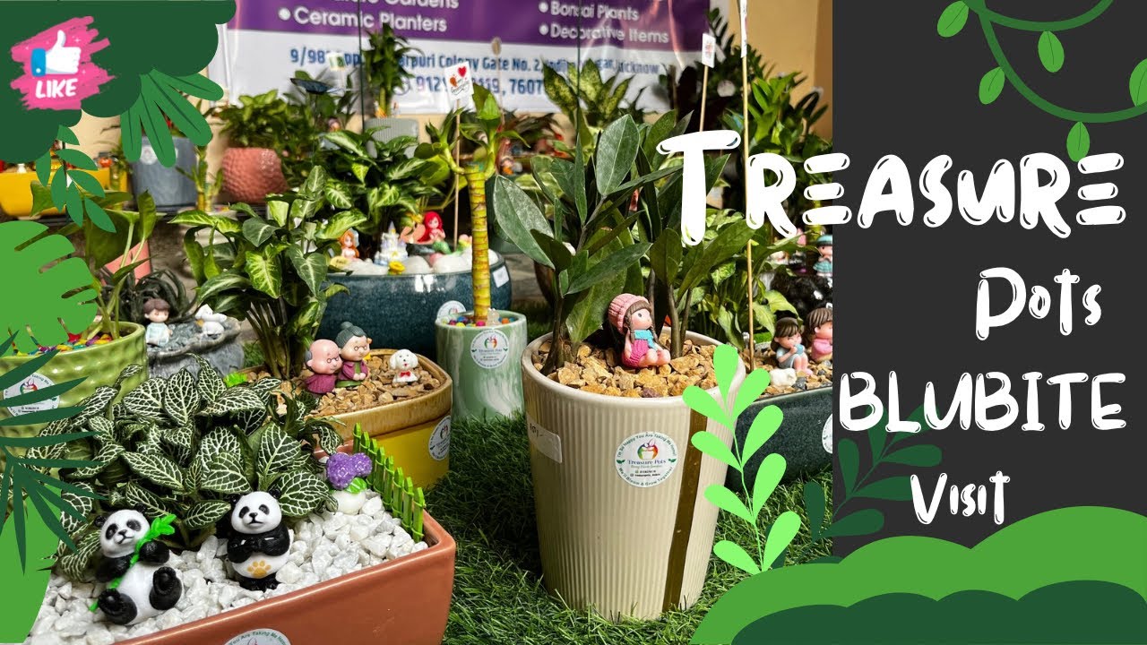 Miniature Tray Gardens & Unique Planters | Treasure Pots & Blubite Store Lucknow