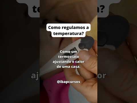 Como o corpo
