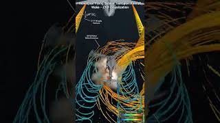 CFD Visualization of Helicopter Flying Behind Transport Aircraft Wake
