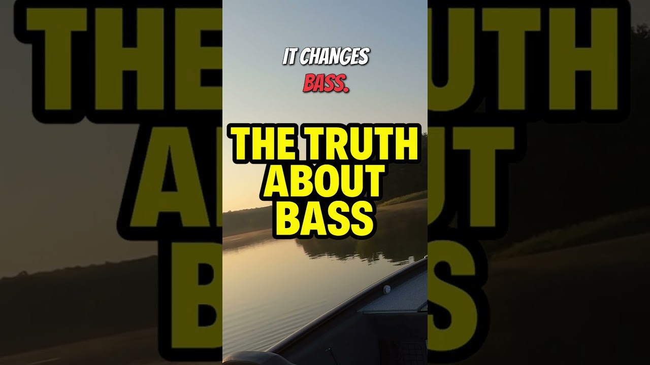 Большинство рыболовов ошибаются насчет того, как ловить окуня, подвергающегося сильному рыболовно...