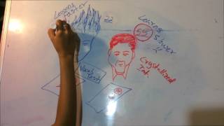 Fluid vs Crystallized Intelligence