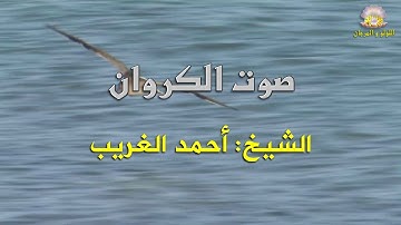 صوت الكروان الشيخ أحمد الغريب: لؤلؤة جديدة في عقد عظماء القراء، تلاوات أسطورية مترجمة بجودة خيالية.